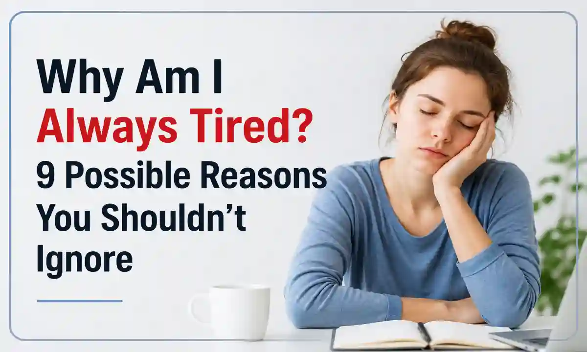 Why Am I Always Tired?